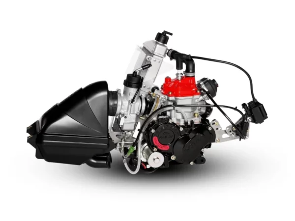 125 senior max evo